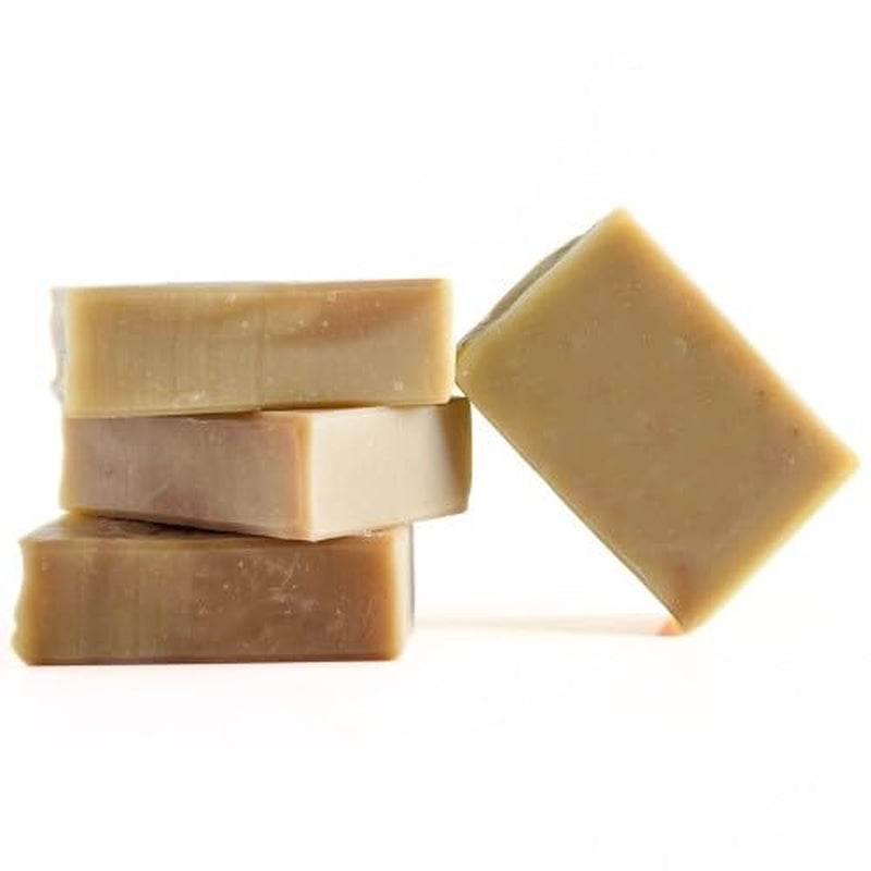 Arnica Aloe Vera with Rosemary Handcrafted Soap | Vegan | 100% Natural |Stimulates and Hydrating Properties for Hand, Face, & Body | Miami-Made - 1 Bar